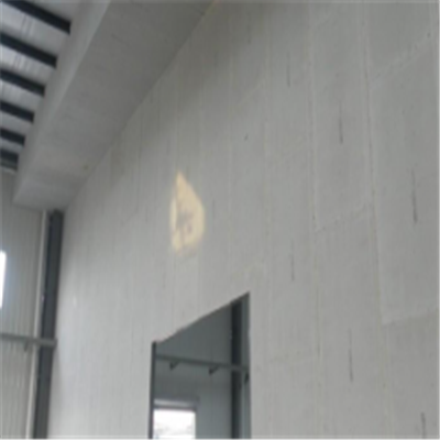 揭阳宁波ALC板|EPS加气板隔墙与混凝土整浇联接的实验研讨